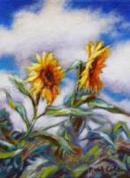 "SUNFLOWER SONG" print_image