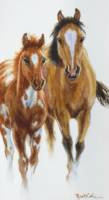 RED PAINT & BUCKSKIN Paper_image