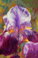 FLOWERS Fine Art Greeting Cards_image