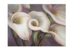 CALLA BLUSH print_image