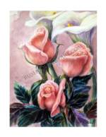 CALLA LILIES & PEACH ROSES giclee_image
