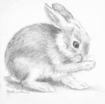 BEATRICE Canvas Print_image