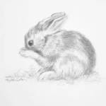 BENJAMIN Canvas Print_image