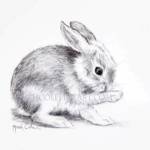 BEATRICE Canvas Print_image