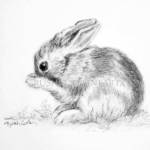 BENJAMIN Canvas Print_image